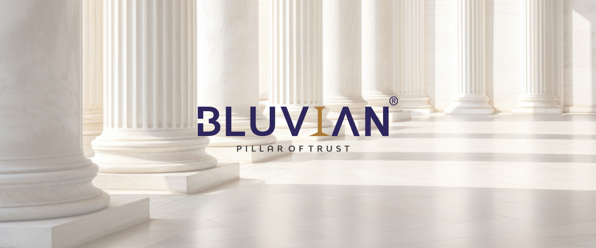 Transparency, Trust, and Quality: Why Bluvian Group is Your Partner in Real Estate