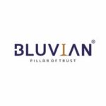 BLUVIAN GROUP